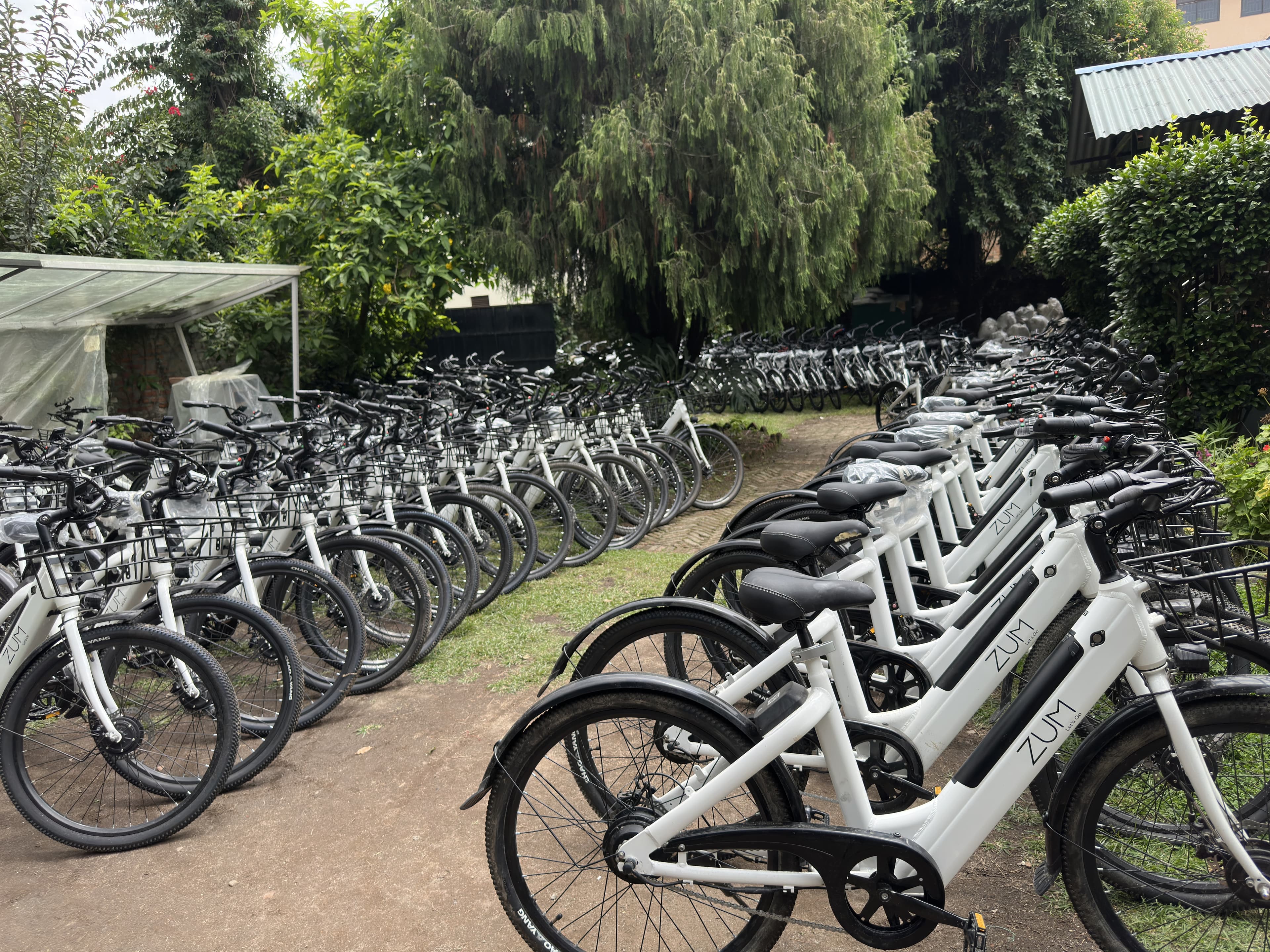 The Zum Cycle: Know It Before You Ride
